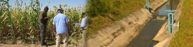 agriculture