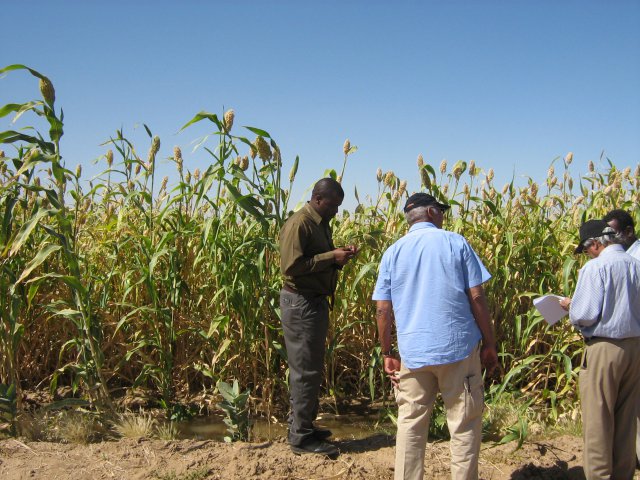 Agriculture-Irrigation Systems, Climate change, Livelihood, Policy and Institution
