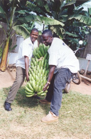 Agriculture-Irrigation Systems, Climate change, Livelihood, Policy and Institution
