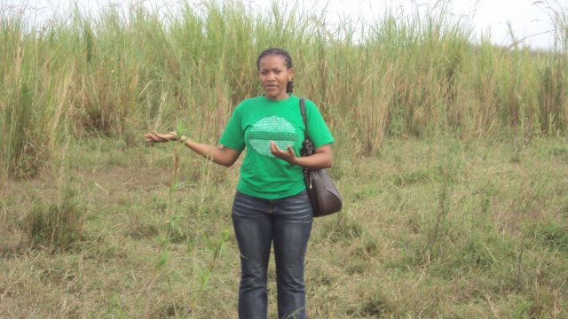 Agriculture-Irrigation Systems, Climate change, Livelihood, Policy and Institution