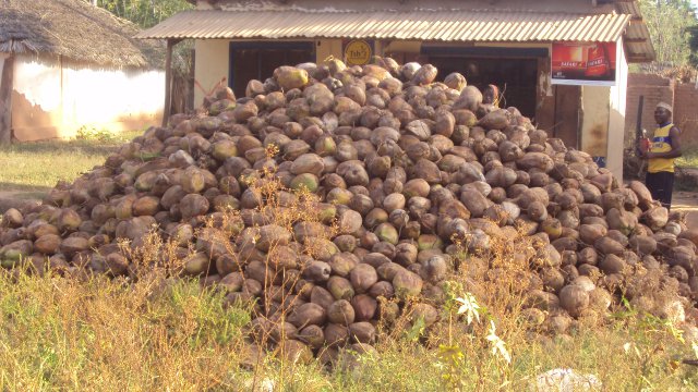 Agriculture-Irrigation Systems, Climate change, Livelihood, Policy and Institution