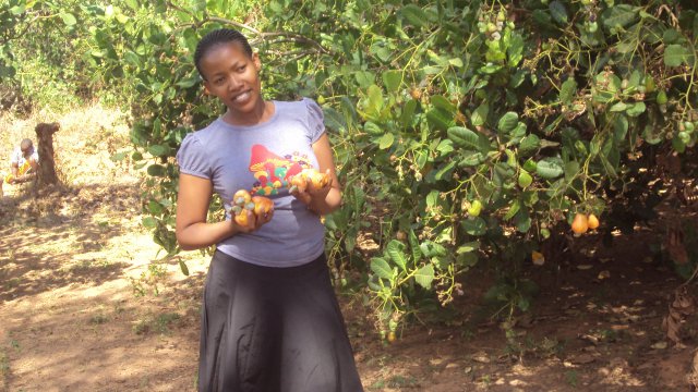 Agriculture-Irrigation Systems, Climate change, Livelihood, Policy and Institution
