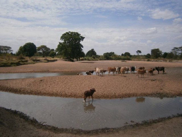 River Basins, Water Resources Engineering & Environmental Studies