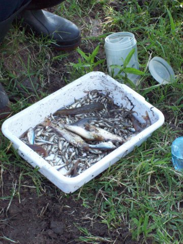 River Basins, Water Resources Engineering & Environmental Studies