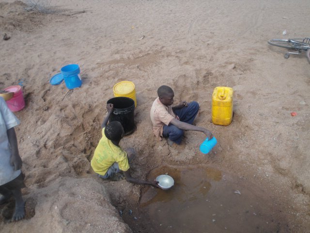 Social Analysis,Training, Monitoring, Evaluation and Audit