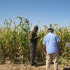 Agriculture-Irrigation Systems, Climate change, Livelihood, Policy and Institution
