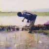 Agriculture-Irrigation Systems, Climate change, Livelihood, Policy and Institution