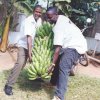 Agriculture-Irrigation Systems, Climate change, Livelihood, Policy and Institution