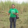 Agriculture-Irrigation Systems, Climate change, Livelihood, Policy and Institution