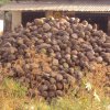 Agriculture-Irrigation Systems, Climate change, Livelihood, Policy and Institution