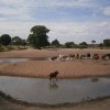 River Basins, Water Resources Engineering & Environmental Studies
