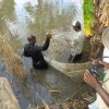 River Basins, Water Resources Engineering & Environmental Studies