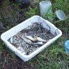River Basins, Water Resources Engineering & Environmental Studies