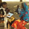 Social Analysis,Training, Monitoring, Evaluation and Audit