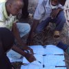 Social Analysis,Training, Monitoring, Evaluation and Audit
